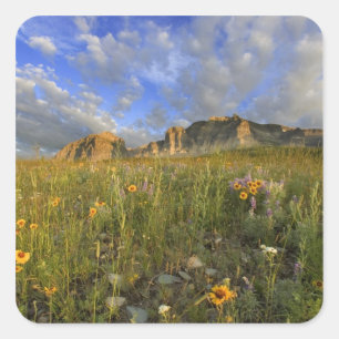 Prairie-wildbloemen bij Windy Creek in de Many Vierkante Sticker