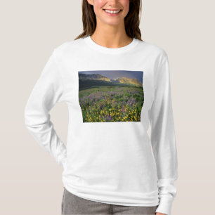 Prairie-wildebloemen vullen weide bij meer t-shirt