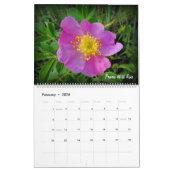Prairie Wildflower Calendar Kalender (Feb 2026)