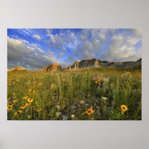 Prairie Wildflower op Windy Creek in de Velen Poster