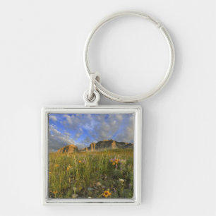 Prairiebloemen bij Windy Creek in de Many Sleutelhanger