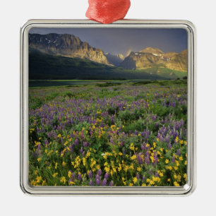 Prairiebloemen vullen weide bij meer metalen ornament