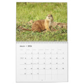 Prairiehond 2026 12 maanden Kalender (Mar 2026)