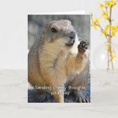 Prairiehond bemoedigingskaart kaart (Gele Bloem)