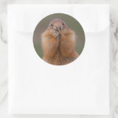 prairiehond ronde sticker (Tas)
