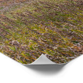 Prairielandschap in de herfst in het Afton State P Poster (Hoek)