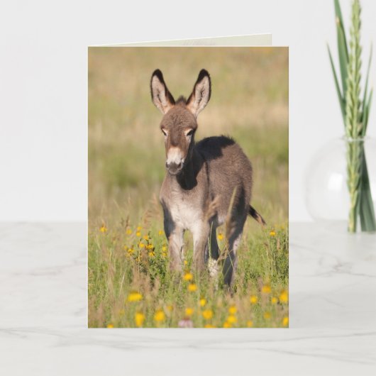"Prairies dorées" - Carte de vœux (Devant)