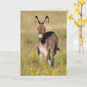 "Prairies dorées" - Carte de vœux (Fleur jaune)