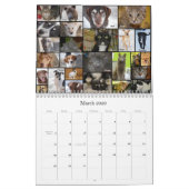 Prairie's Edge Humane Society 2012 Large Kalender (Mar 2026)