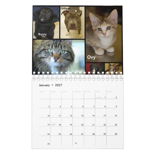 Prairie's Edge Humane Society 2012 Small Kalender (Jan 2027)