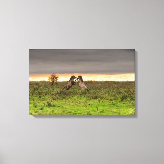 Pranching paarden canvas (Voorkant)