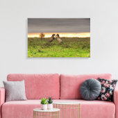 Pranching paarden canvas afdruk (Insitu (Woonkamer))