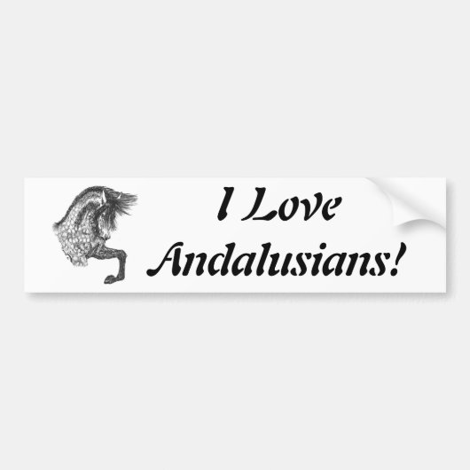 Prancing Andalusiaans Bumpersticker (Voorkant)