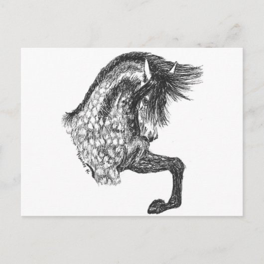Prancing Andalusian Briefkaart (Voorkant)