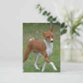 Prancing Basenji Dog Briefkaart (Staand voorkant)