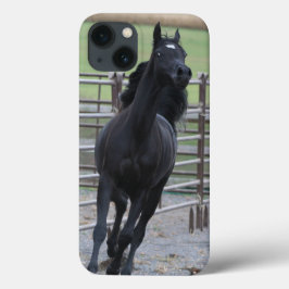 Prancing Black Arabian iPhone 13 Hoesje
