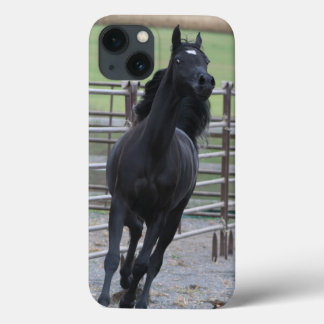 Prancing Black Arabian iPhone 13 Hoesje