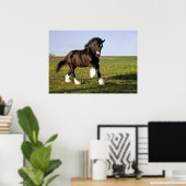 Prancing Clydesdale Poster (Thuiskantoor)