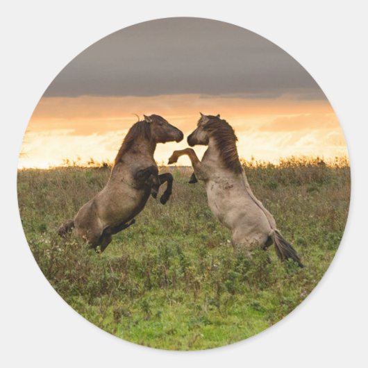 Prancing des chevaux sauvages autocollants ronds (Devant)