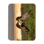 Prancing wilde paarden rechthoekige magneet (Verticaal)