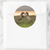 Prancing wilde paarden rond sticker (Tas)