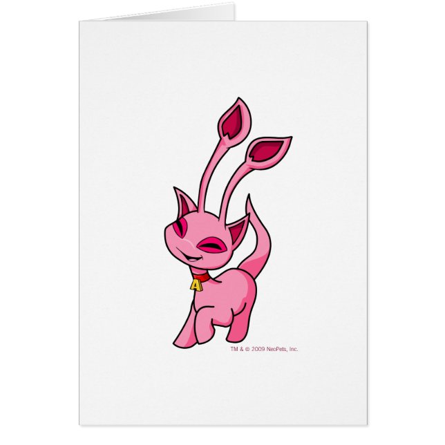 Prancroze Aisha (Voorkant)