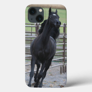 Pranking Black Arabian iPhone 13 Hoesje