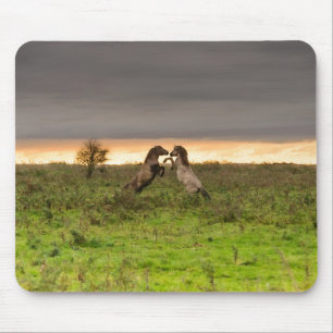 Pranking paarden mousepad muismat