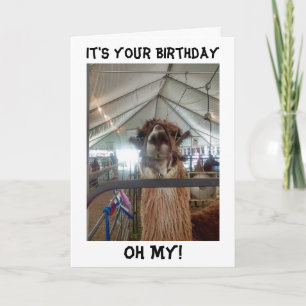 PRATEN LLAMA VERJAARDAG KAART KRIJG ME UIT!!!