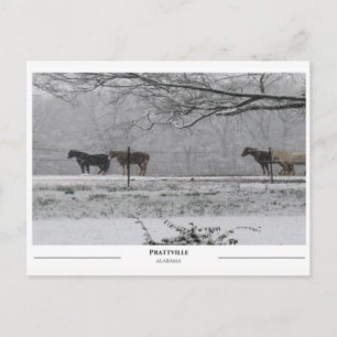 Prattville Alabama Briefkaart