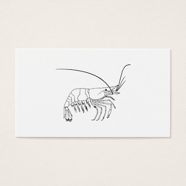 Prawn Art Visitekaartjes (Voorkant)