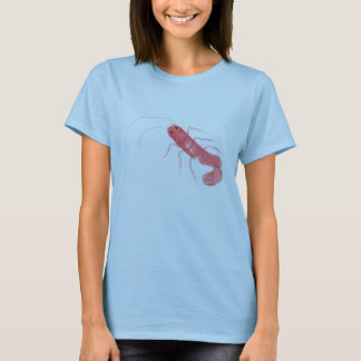 Prawn Dames T-Shirt