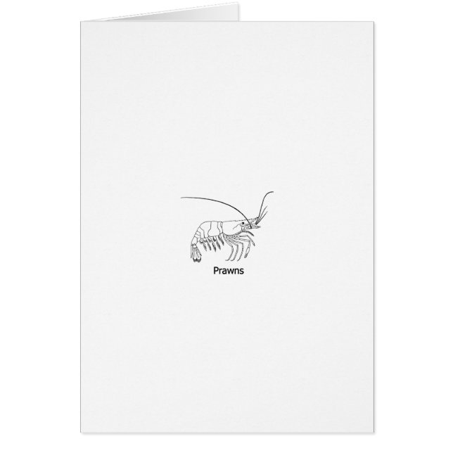 Prawn Logo (Voorkant)