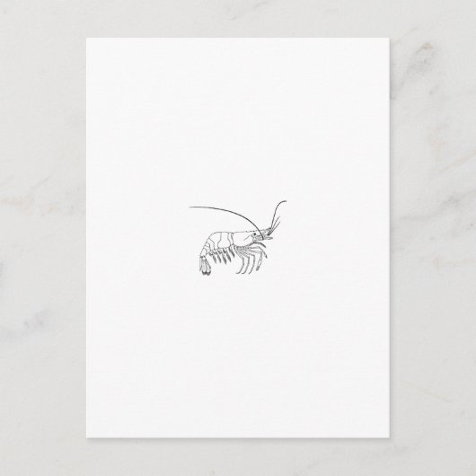 Prawn Logo Briefkaart (Voorkant)