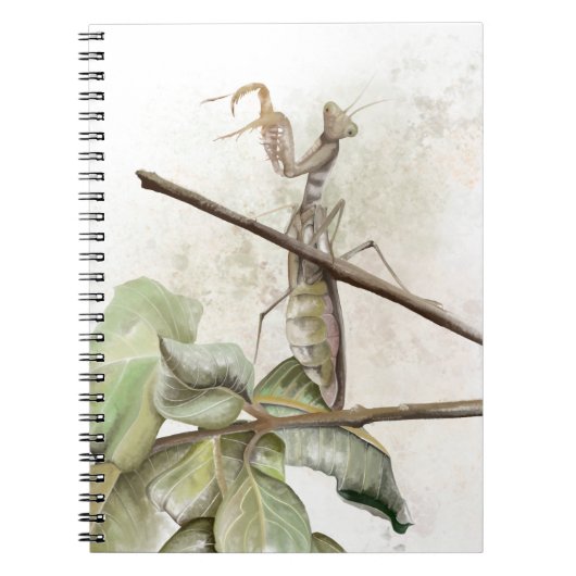 Pray Mantis watercolor Notitieboek (Voorkant)
