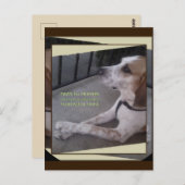 Prayer Dog Paws Briefkaart (Voorkant / Achterkant)