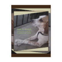 Prayer Dog Paws Briefkaart
