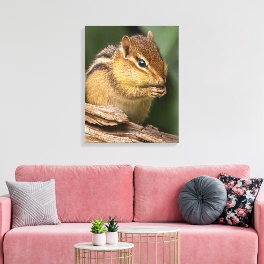 Prayerful Chipmunk Canvas Afdruk (Insitu (Woonkamer))