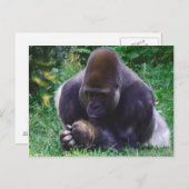 Praying Gorilla Post Card Briefkaart (Voorkant / Achterkant)