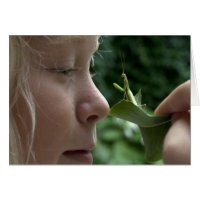 Praying Mantid