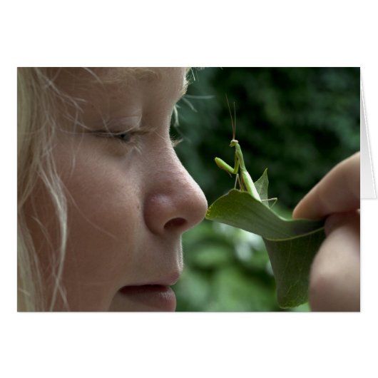 Praying Mantid (Devant horizontal)