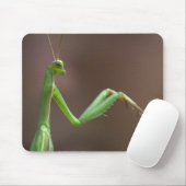 Praying Mantid Muismat (Met muis)