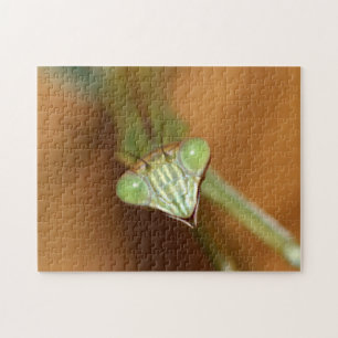 Praying Mantids Legpuzzel