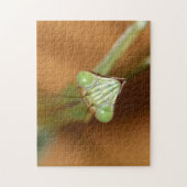 Praying Mantids Legpuzzel (Verticaal)