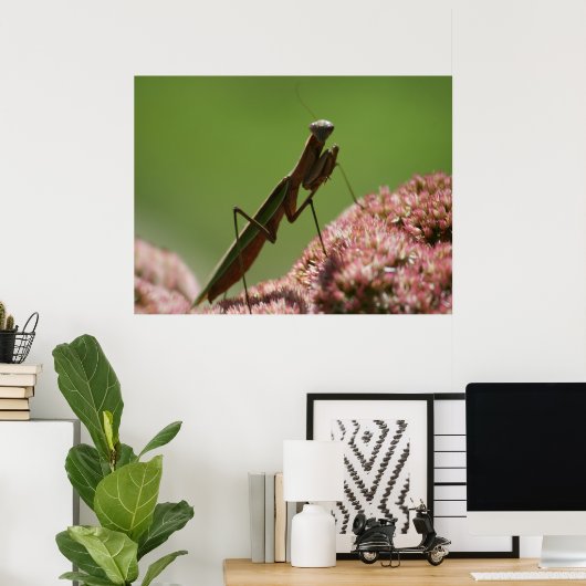 Praying Mantids Poster (Thuiskantoor)
