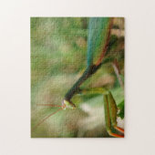 Praying Mantis, 11x14 Photo Puzzle with Gift Box Legpuzzel (Verticaal)