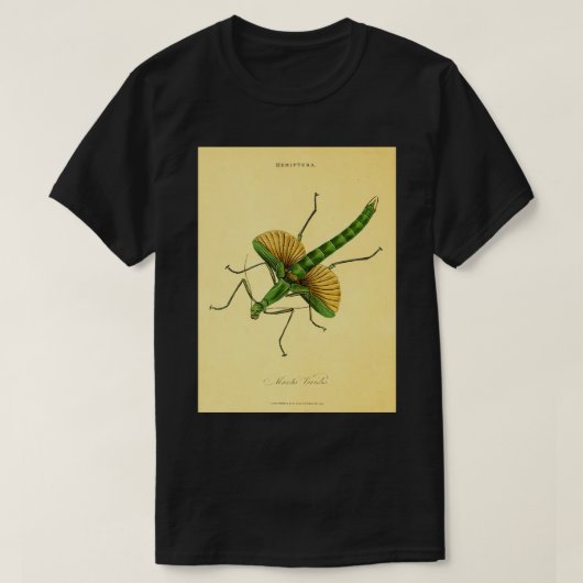 Praying Mantis 21 T-shirt (Design voorkant)