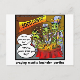Praying Mantis Batchelor Party Funny Gifts & T - s Briefkaart
