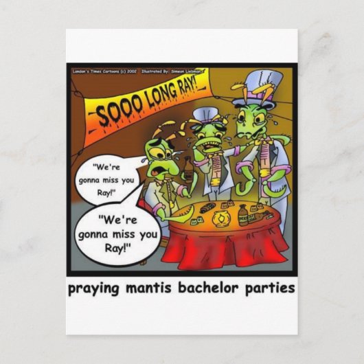 Praying Mantis Batchelor Party Funny Gifts & T - s Uitnodiging Briefkaart (Voorkant)