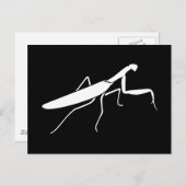 Praying Mantis Briefkaart (Voorkant / Achterkant)